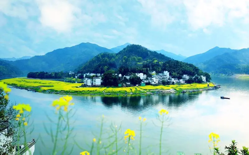 创意稳定性独特